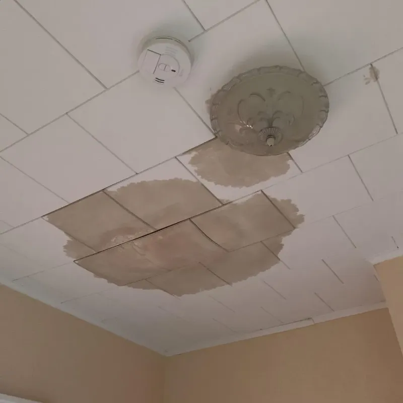 Ceiling Water Damage Repair in City of Lexington, VA