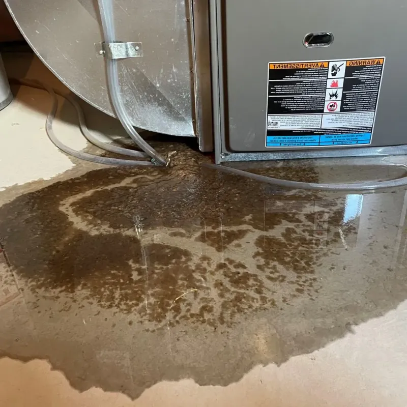 Pipe Burst and Leak Restoration in City of Lexington, VA