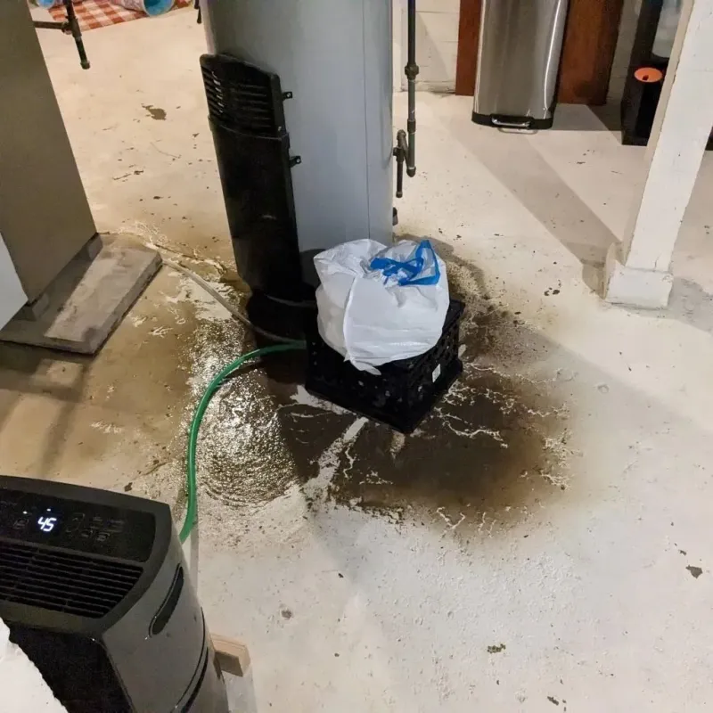 Sewage Backup Cleanup Service in City of Lexington, VA